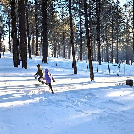 Close To Williams, Flagstaff, Grand Canyon And Sedona Εξωτερικό φωτογραφία
