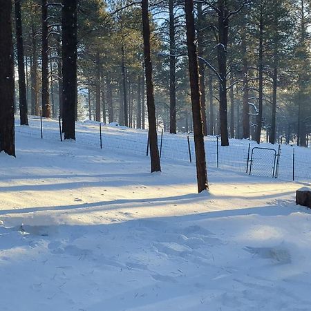 Close To Williams, Flagstaff, Grand Canyon And Sedona Εξωτερικό φωτογραφία
