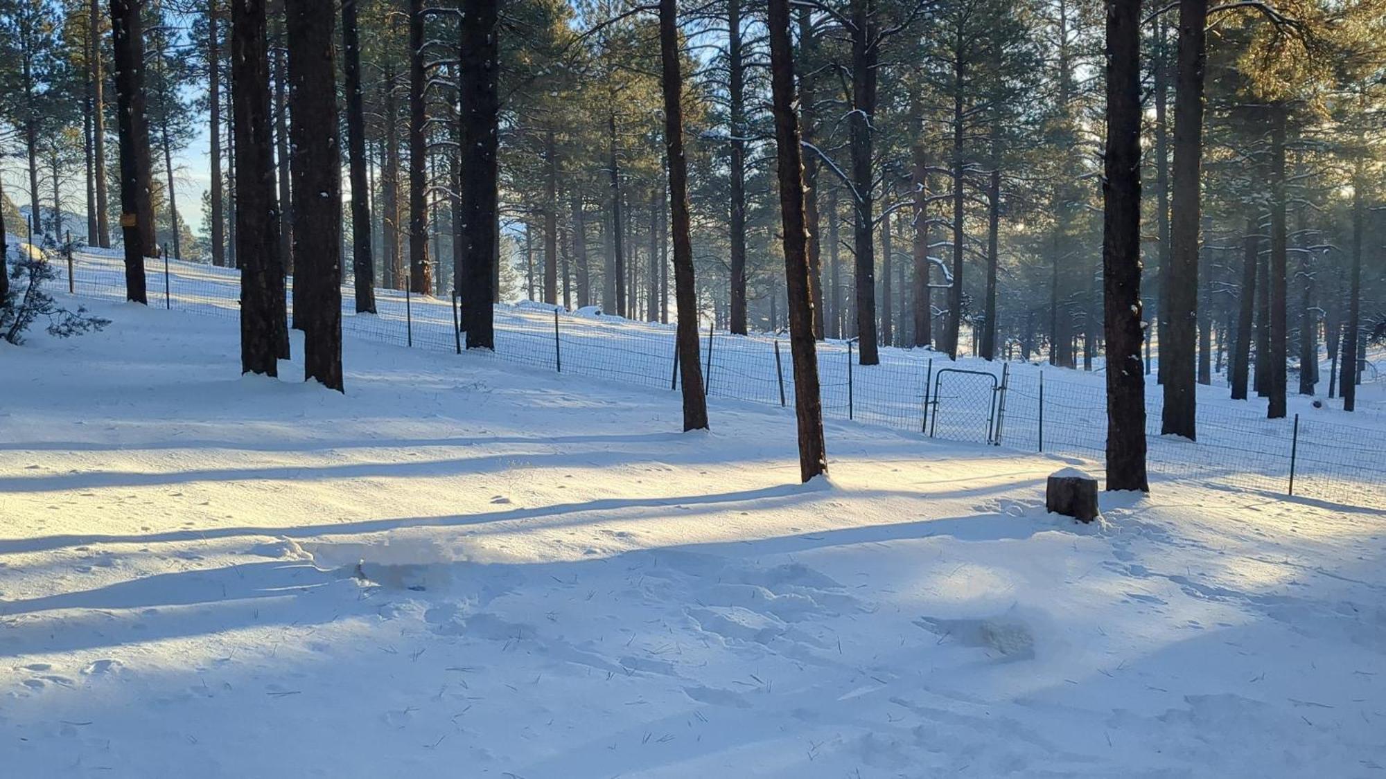 Close To Williams, Flagstaff, Grand Canyon And Sedona Εξωτερικό φωτογραφία