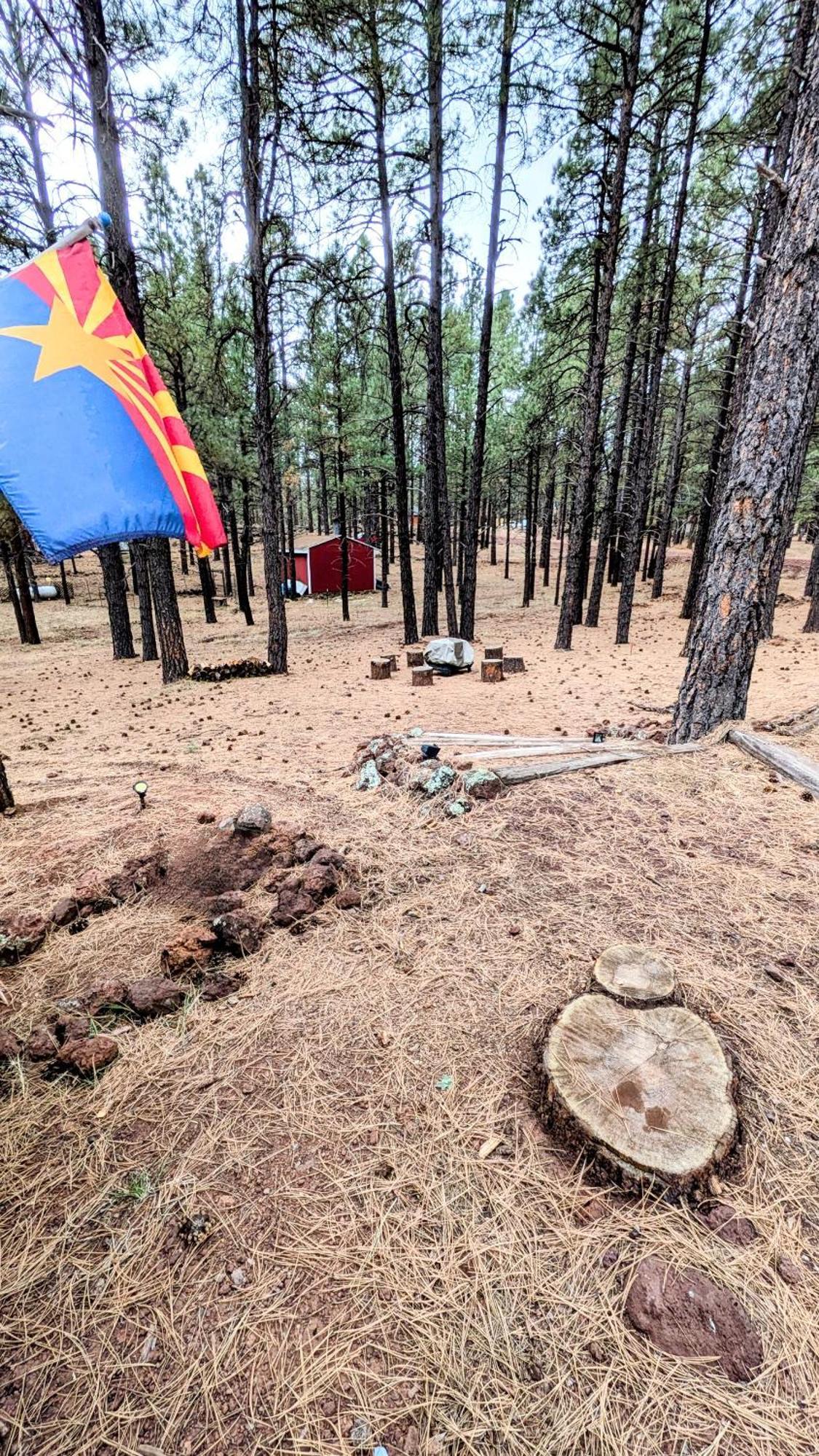 Close To Williams, Flagstaff, Grand Canyon And Sedona Εξωτερικό φωτογραφία