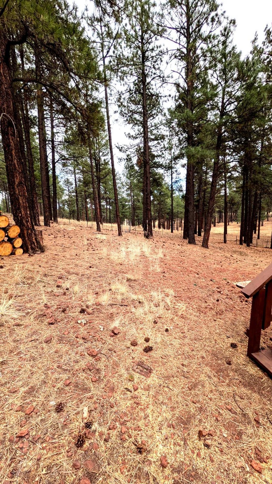 Close To Williams, Flagstaff, Grand Canyon And Sedona Εξωτερικό φωτογραφία
