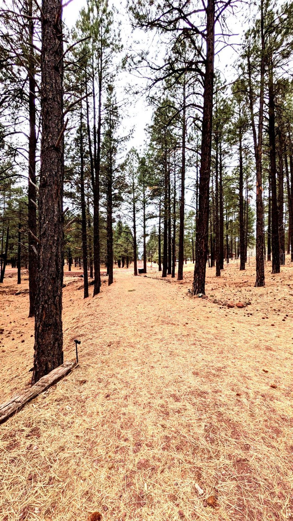 Close To Williams, Flagstaff, Grand Canyon And Sedona Εξωτερικό φωτογραφία