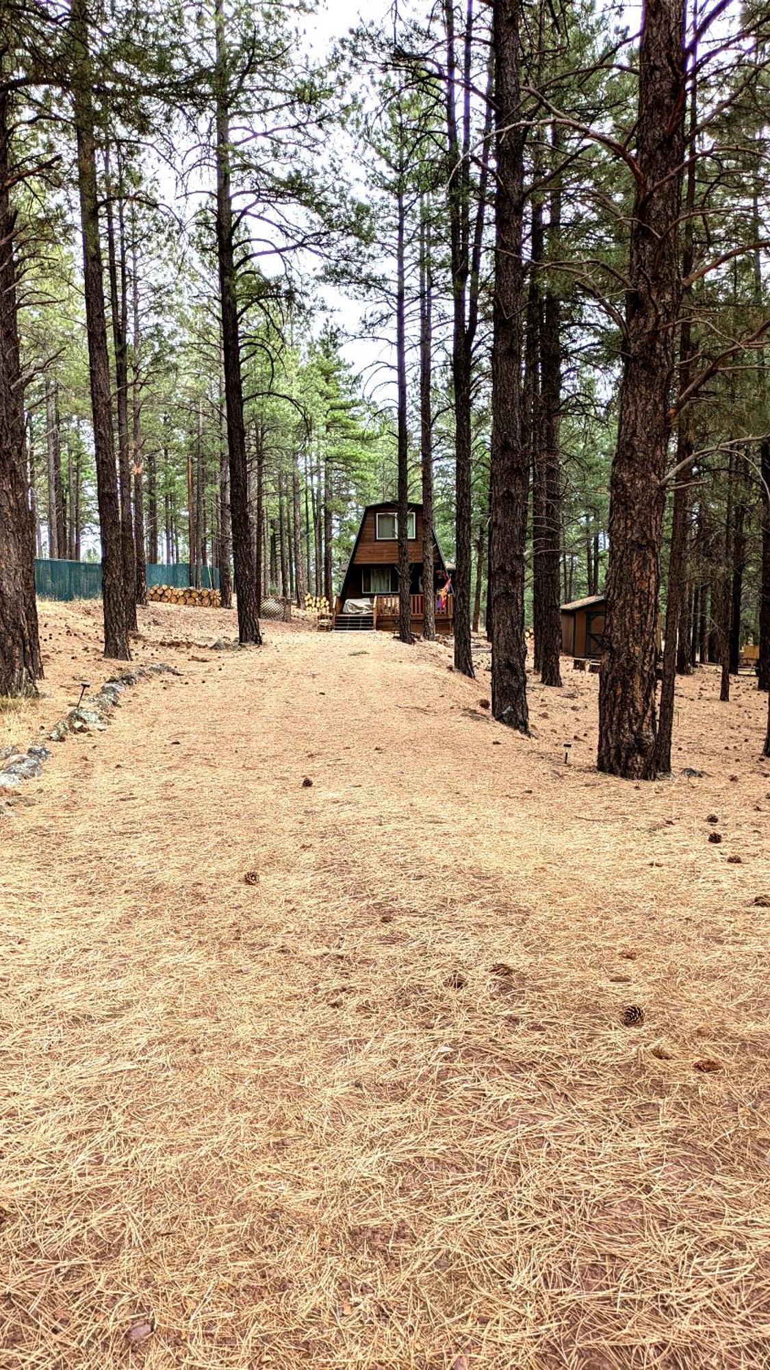 Close To Williams, Flagstaff, Grand Canyon And Sedona Εξωτερικό φωτογραφία
